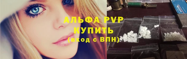 сатива Арсеньев