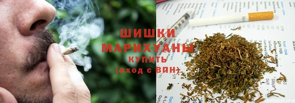 сатива Арсеньев